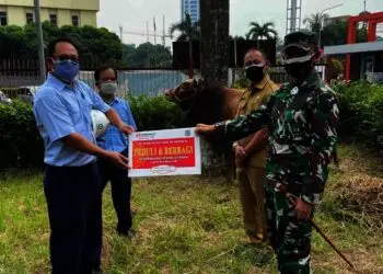 PT IKPP Tangerang Bagikan 24 Hewan Kurban