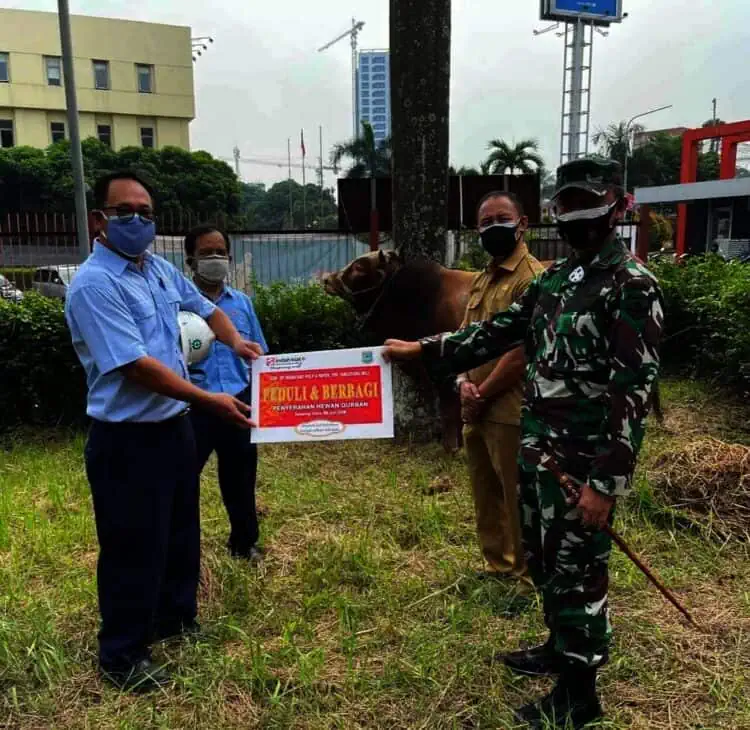 PT IKPP Tangerang Bagikan 24 Hewan Kurban