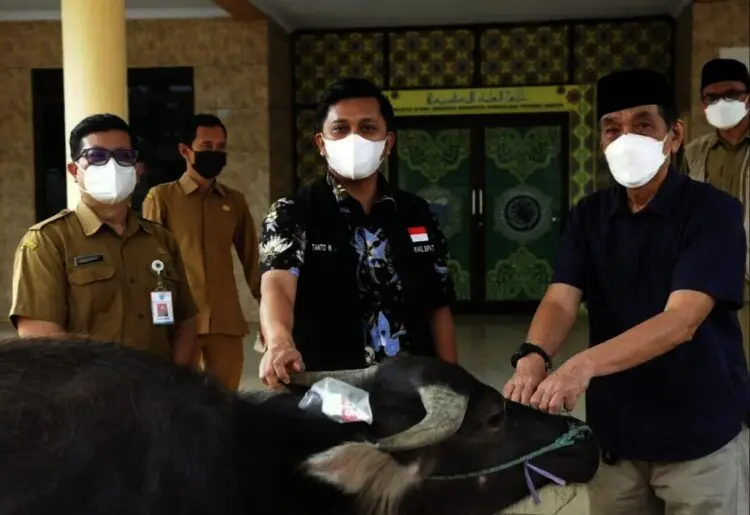 SERAHKAN HEWAN KURBAN–Wabup Pandeglang, Tanto Warsono Arban didampingi jajarannya, sedang menyerahkan satu ekor kerbau ke pengurus DKM Agung Ar-Rahman Pandeglang, di halaman kantor MUI Pandeglang, Senin (19/7/2021). (NIPAL SUTIANA/SATELITNEWS.ID)