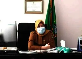 Kepala Dinas Pemberdayaan Perempuan, Perlindungan Anak, Kependudukan dan Keluarga Berencana (DP3AKKB) Provinsi Banten, Sitti Ma’ani Nina. (ISTIMEWA)