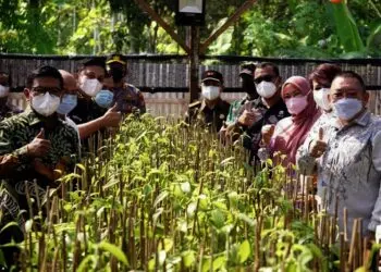 PERKEBUNAN VANILI–Bupati dan Wakil Bupati Pandeglang, Irna Narulita-Tanto Warsono Arban, meninjau produksi vanili bersama pihak perusahaan, di  Desa Citeureup, Kecamatan Panimbang, Kabupaten Pandeglang, Jumat (27/8/2021). (ISTIMEWA)