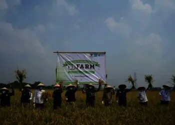 Libatkan Ratusan Petani, Panen Raya Program Ketahanan Pangan Digelar di Ciruas Kabupaten Serang