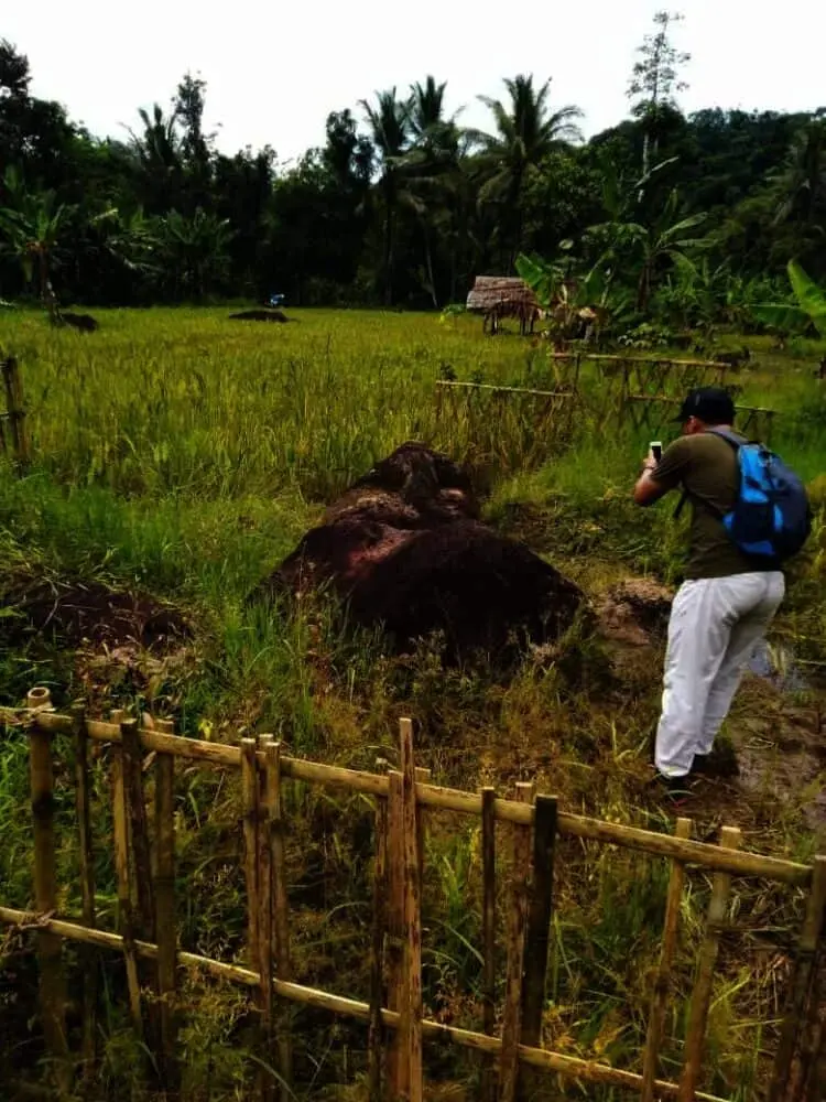 Menelusuri Jejak Salakanagara, Folklor Gajah Gumarang dan Asal Usul Nama Kecamatan Saketi Kabupaten Pandeglang Mencuat
