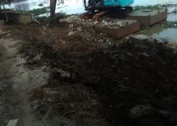 Baru Dibangun, Turap Situ Kelapa Dua Ambrol