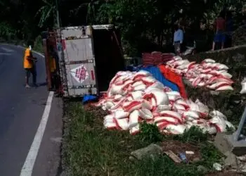 LAKA LANTAS - Truk bermuatan Bansos Beras, mengalami kecelakaan lalu lintas (LAKA Lantas) di tanjakan Lebak Seureuh, Kelurahan Kabayan, Kecamatan Pandeglang, Kabupaten Pandeglang, Selasa (3/8/2021). (ISTIMEWA)