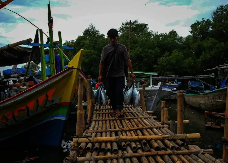 Potret Aktifitas Nelayan di Cituis Kabupaten Tangerang