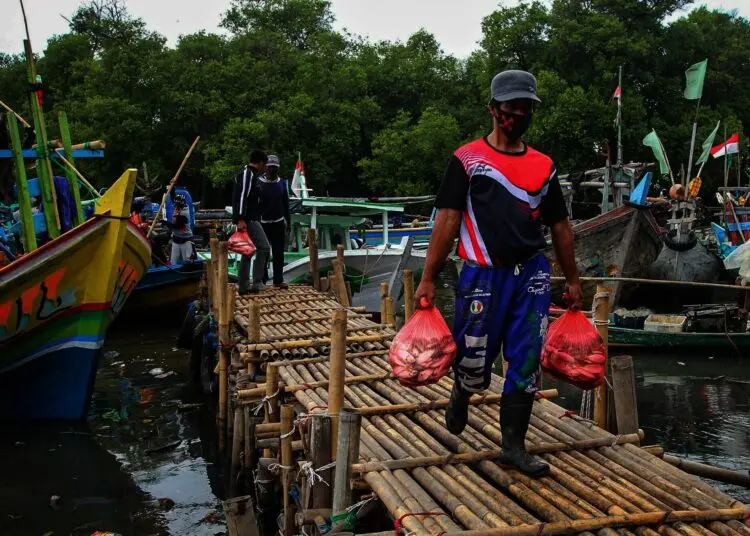 Potret Aktifitas Nelayan di Cituis Kabupaten Tangerang