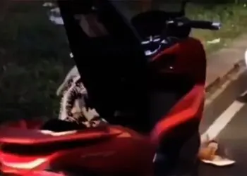 Wanita Pengendara Motor PCX Dipepet Kawanan Perampok