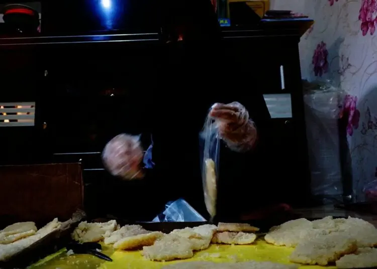 Potret Produksi Ayam Shihlin Rumahan di Tangerang