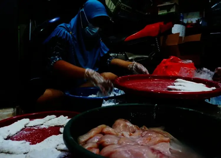 Potret Produksi Ayam Shihlin Rumahan di Tangerang
