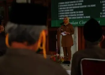 Ratu Tatu Chasanah, dalam sebuah acara pemerintahan. (ISTIMEWA)