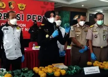 Penyelundupan Sabu Lebih dari 10 Kg dari Afrika Berhasil Digagalkan