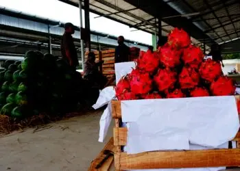 Potret Pasar Induk Jatiuwung Usai Resmi Dibuka