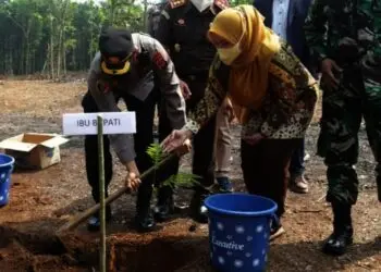 TANAM BIBIT SENGON–Bupati Pandeglang Irna Narulita, didampingi Kapolres Pandeglang bersama jajaran lainnya, menanam bibit Sengon di lahan petani, di Kecamatan Banjar, Jumat (3/9/2021). (NIPAL SUTIANA/SATELITNEWS.ID)