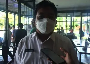 Distan Klaim Tanaman Padi yang Diasuransikan Lebihi Target