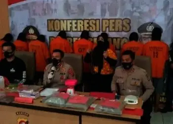 Dikejar Sampai Medan, Satresnarkoba Polres Serang Ringkus 7 Jaringan Pengedar Ganja