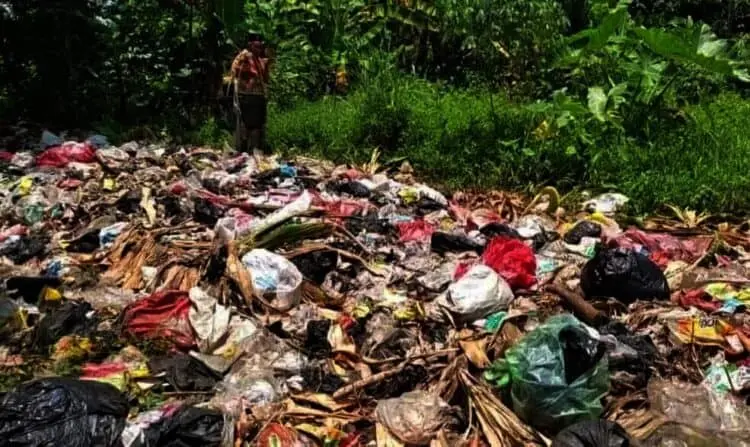 Selain Covid-19, Pemkab Pandeglang Fokus Tangani Malaria