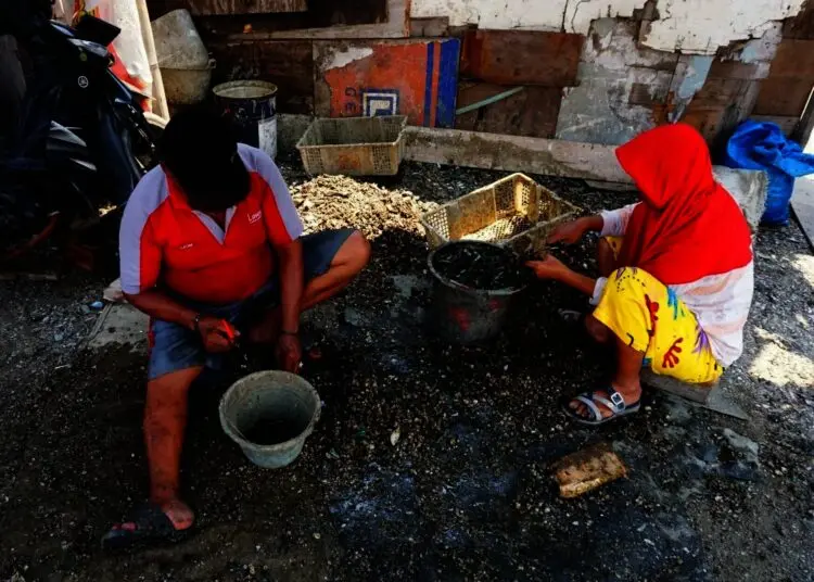 Potret Geliat Pedagang Kerang Ijo di Kabupaten Tangerang