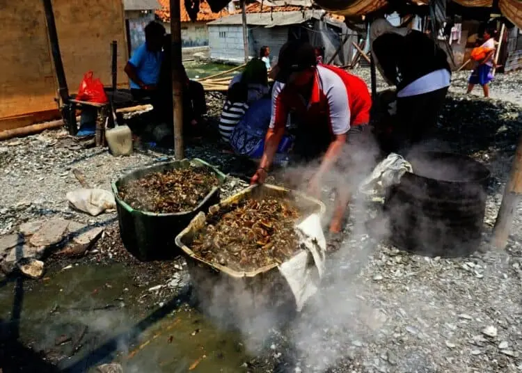 Potret Geliat Pedagang Kerang Ijo di Kabupaten Tangerang