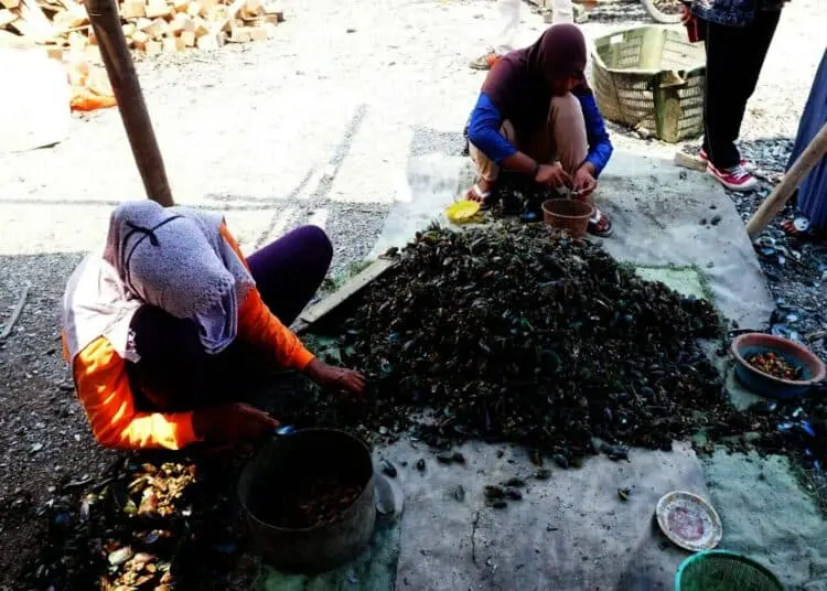 Potret Geliat Pedagang Kerang Ijo di Kabupaten Tangerang