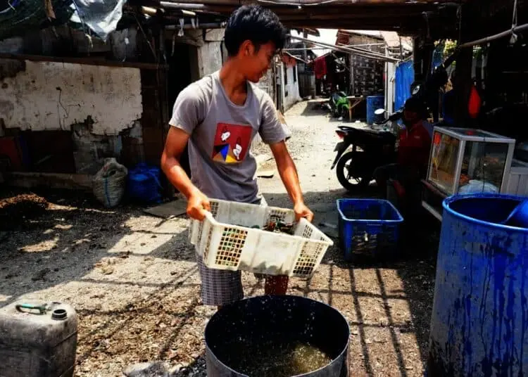 Potret Geliat Pedagang Kerang Ijo di Kabupaten Tangerang
