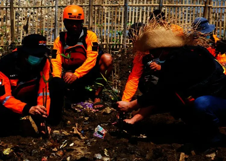 Potret Relawan Tanam Mangrove di Pulau Sampah Tanjung Burung