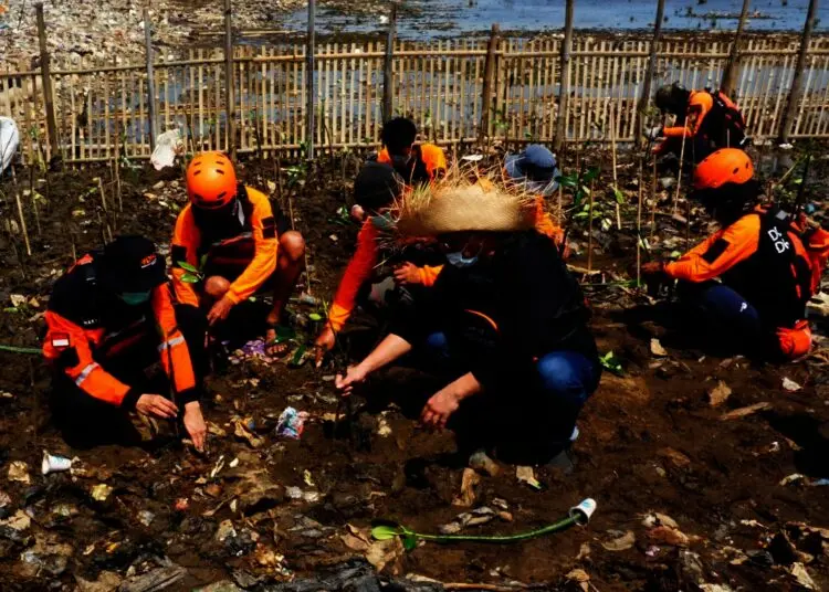 Potret Relawan Tanam Mangrove di Pulau Sampah Tanjung Burung