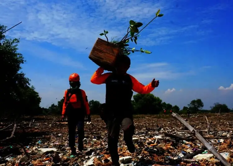 Potret Relawan Tanam Mangrove di Pulau Sampah Tanjung Burung