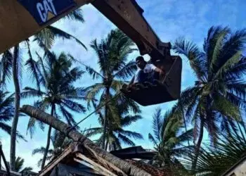 Pohon Kelapa Tumbang Menimpa Rumah di Cikeusik Kabupaten Pandeglang
