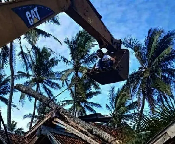 Pohon Kelapa Tumbang Menimpa Rumah di Cikeusik Kabupaten Pandeglang