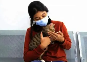 Pemkot Tangerang Gelar Gebyar Vaksinasi Rabies Gratis