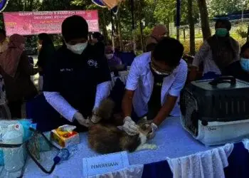 Hari Anti Rabies Sedunia, Hewan-hewan Divaksinasi Secara Gratis di Kab Tangerang