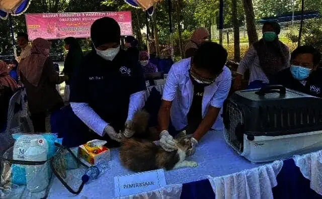 Hari Anti Rabies Sedunia, Hewan-hewan Divaksinasi Secara Gratis di Kab Tangerang