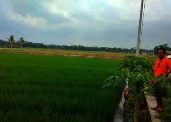Manfaatkan Potensi Desa, BUMDes  Kramatlaban Akan Kembangkan Wisata Alam