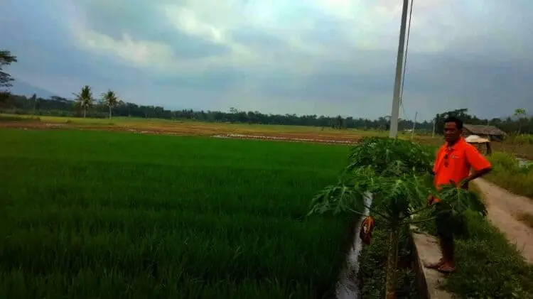 Manfaatkan Potensi Desa, BUMDes Kramatlaban Akan Kembangkan Wisata Alam