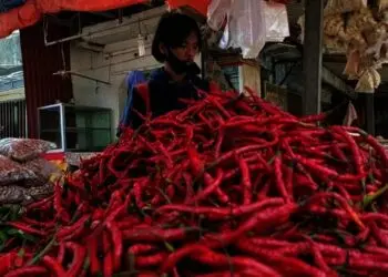 Harga Cabai Merah Kriting di Pasar Pandeglang Tembus Rp 40 Ribu per Kilogram
