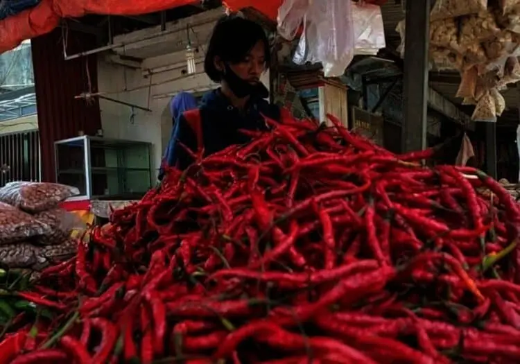 Harga Cabai Merah Kriting di Pasar Pandeglang Tembus Rp 40 Ribu per Kilogram