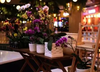 Produk Kreatif Lokal dan Anggrek Tampil di Creartive Culture Home Summarecon Mall Serpong