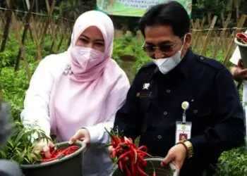 BKP Kementan RI Klaim Program PK di Pandeglang Berhasil