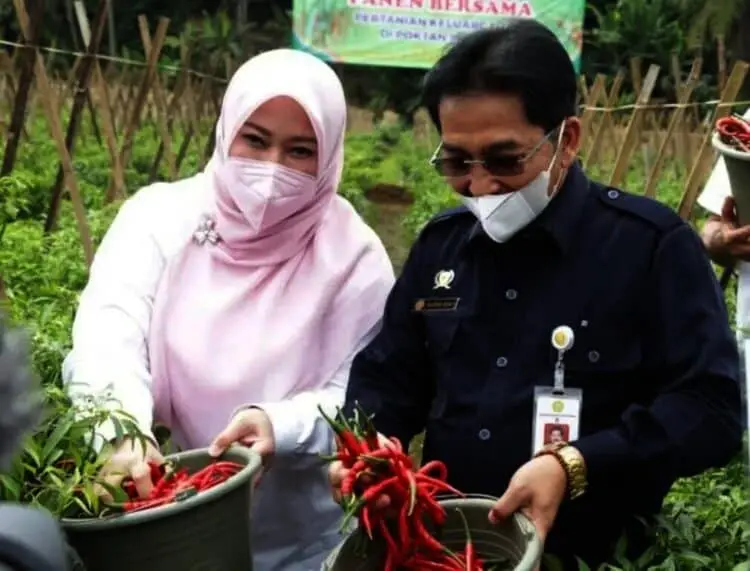 BKP Kementan RI Klaim Program PK di Pandeglang Berhasil