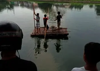 Pria Tenggelam Saat Mencari Keong di Danau Kedaton