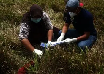 Mengejutkan, Sosok Mayat Pria Tanpa Identitas Ditemukan Membusuk di Kawasan TNUK Pandeglang