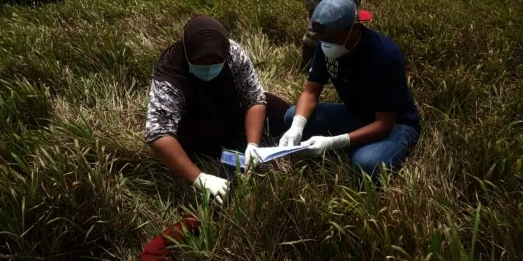 Mengejutkan, Sosok Mayat Pria Tanpa Identitas Ditemukan Membusuk di Kawasan TNUK Pandeglang