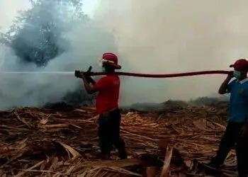 Limbah Triplek di Rangkasbitung Terbakar, Begini Dampaknya