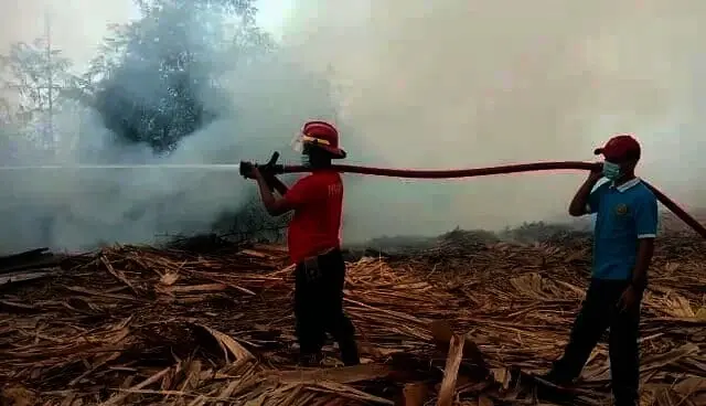 Limbah Triplek di Rangkasbitung Terbakar, Begini Dampaknya
