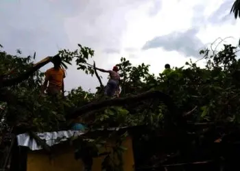 Sebuah rumah tertimpa pohon tumbang, akibat diterjang angin kencang, di Cikande, Kabupaten Serang, Selasa (19/10/2021). (ISTIMEWA)