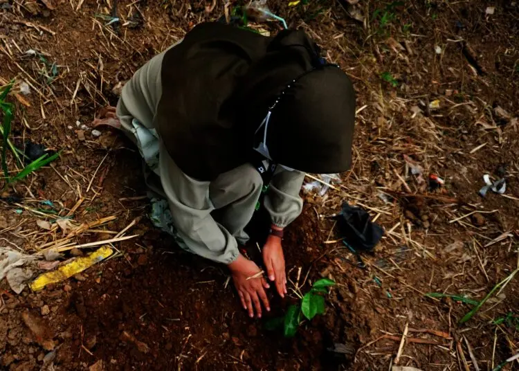Potret Penanaman Pohon dan Operasi Bersih di Kawasan Sungai Cisadane