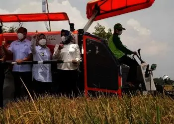Bupati Serang Ratu Tatu Chasanah, berfoto di alat panen padi senilai Rp 600 juta. (ISTIMEWA)