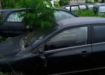 Tak Terurus, Puluhan Mobil Dinas Pemkot Tangerang Ini Bak "Ditumbuhi" Rumput