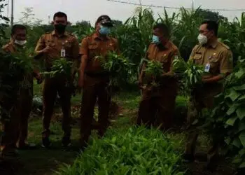 Kecamatan Neglasari Panen Sayur dan Ikan di RBTI